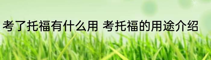 考了托福有什么用 考托福的用途介绍
