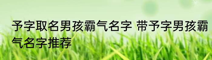 予字取名男孩霸气名字 带予字男孩霸气名字推荐
