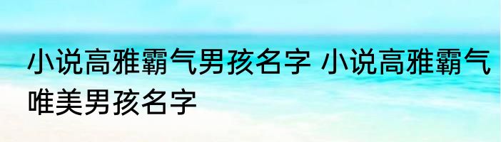 小说高雅霸气男孩名字 小说高雅霸气唯美男孩名字