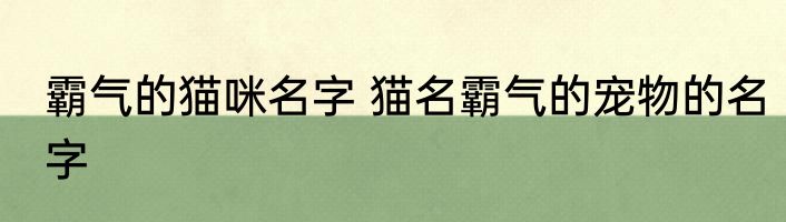 霸气的猫咪名字 猫名霸气的宠物的名字