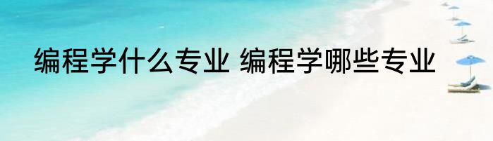 编程学什么专业 编程学哪些专业