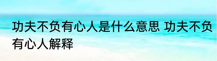 功夫不负有心人是什么意思 功夫不负有心人解释