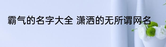 霸气的名字大全 潇洒的无所谓网名