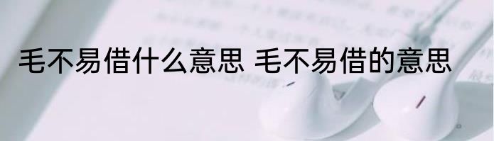 毛不易借什么意思 毛不易借的意思