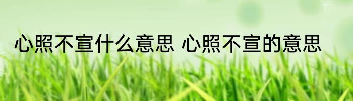 心照不宣什么意思 心照不宣的意思