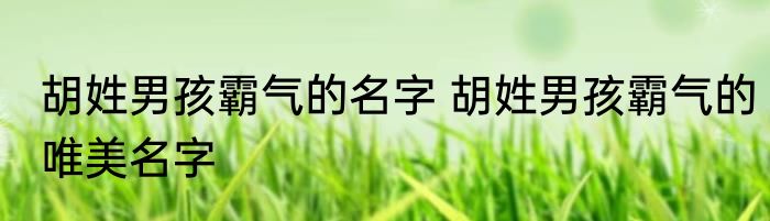 胡姓男孩霸气的名字 胡姓男孩霸气的唯美名字