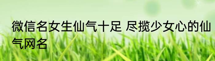微信名女生仙气十足 尽揽少女心的仙气网名