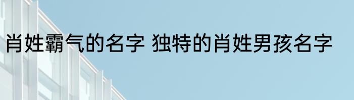 肖姓霸气的名字 独特的肖姓男孩名字
