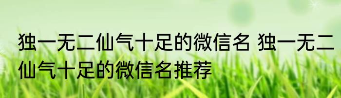 独一无二仙气十足的微信名 独一无二仙气十足的微信名推荐