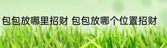 包包放哪里招财 包包放哪个位置招财