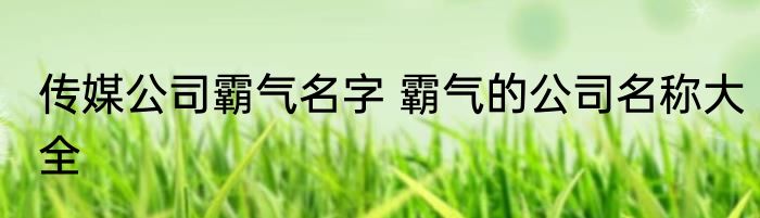 传媒公司霸气名字 霸气的公司名称大全