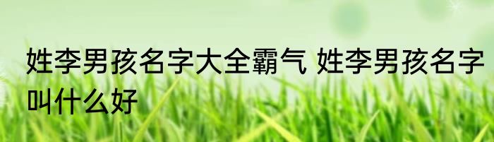 姓李男孩名字大全霸气 姓李男孩名字叫什么好