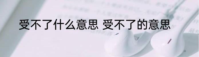 受不了什么意思 受不了的意思