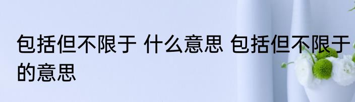 包括但不限于 什么意思 包括但不限于的意思