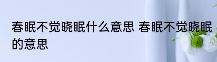春眠不觉晓眠什么意思 春眠不觉晓眠的意思