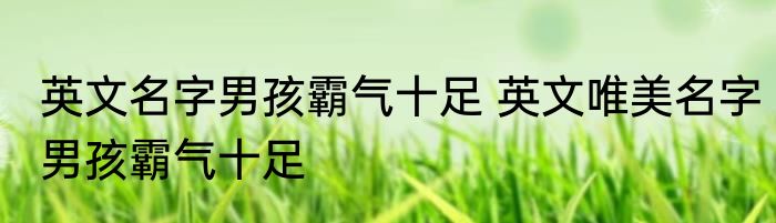英文名字男孩霸气十足 英文唯美名字男孩霸气十足