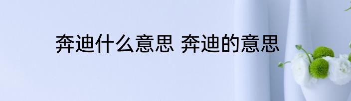 奔迪什么意思 奔迪的意思