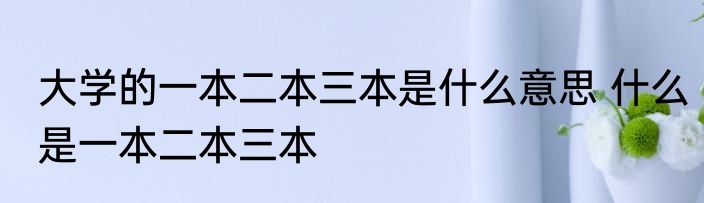 大学的一本二本三本是什么意思 什么是一本二本三本
