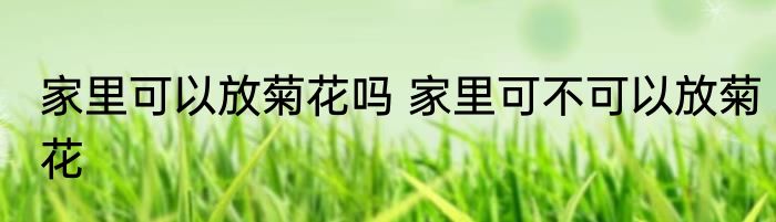 家里可以放菊花吗 家里可不可以放菊花