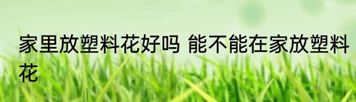 家里放塑料花好吗 能不能在家放塑料花