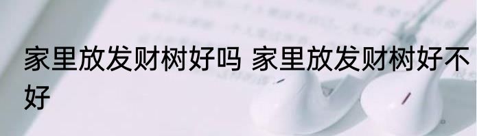 家里放发财树好吗 家里放发财树好不好