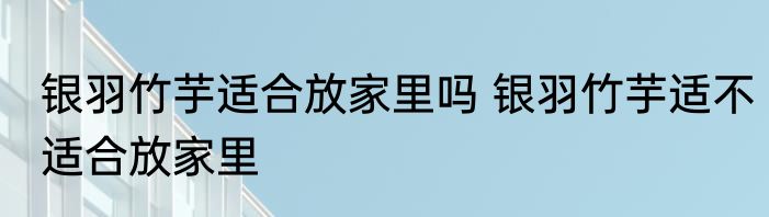 银羽竹芋适合放家里吗 银羽竹芋适不适合放家里