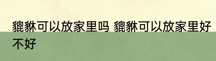 貔貅可以放家里吗 貔貅可以放家里好不好