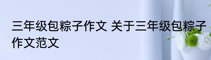 三年级包粽子作文 关于三年级包粽子作文范文