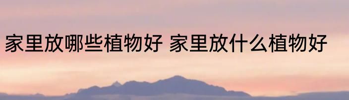 家里放哪些植物好 家里放什么植物好