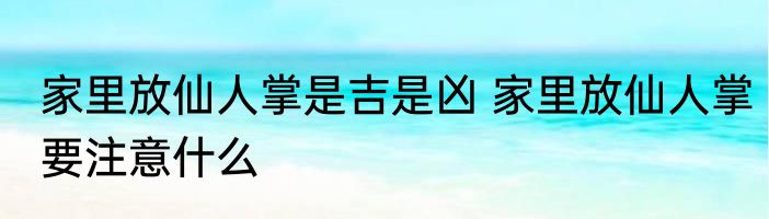 家里放仙人掌是吉是凶 家里放仙人掌要注意什么