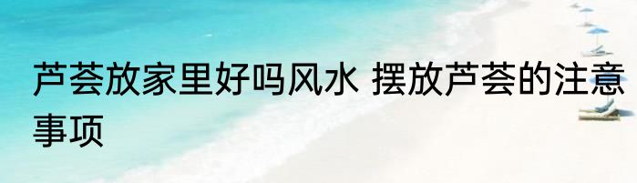 芦荟放家里好吗风水 摆放芦荟的注意事项