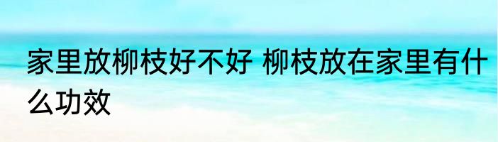 家里放柳枝好不好 柳枝放在家里有什么功效