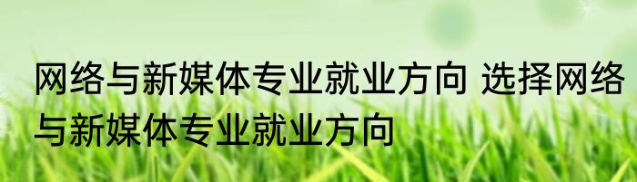 网络与新媒体专业就业方向 选择网络与新媒体专业就业方向