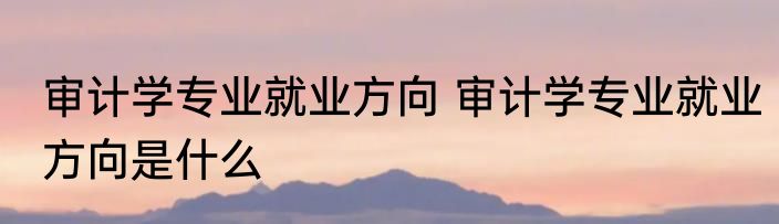 审计学专业就业方向 审计学专业就业方向是什么