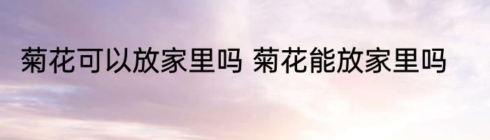 菊花可以放家里吗 菊花能放家里吗