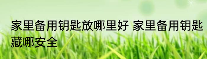家里备用钥匙放哪里好 家里备用钥匙藏哪安全