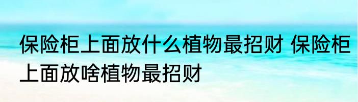 保险柜上面放什么植物最招财 保险柜上面放啥植物最招财