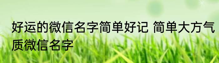 好运的微信名字简单好记 简单大方气质微信名字