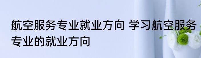 航空服务专业就业方向 学习航空服务专业的就业方向