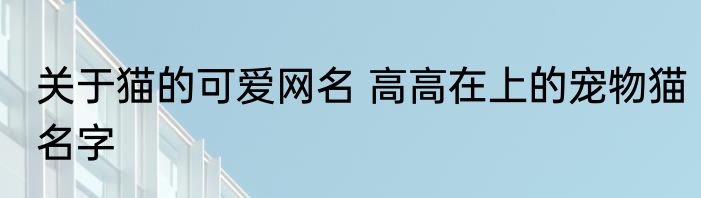 关于猫的可爱网名 高高在上的宠物猫名字