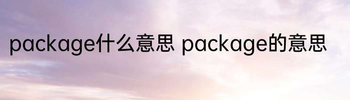 package什么意思 package的意思