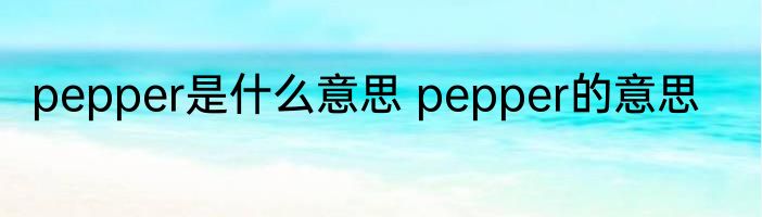 pepper是什么意思 pepper的意思