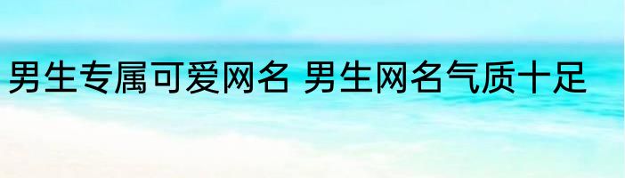 男生专属可爱网名 男生网名气质十足