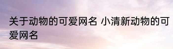 关于动物的可爱网名 小清新动物的可爱网名