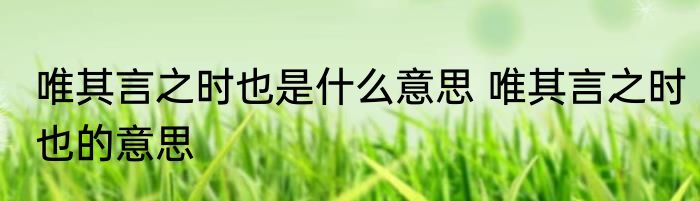 唯其言之时也是什么意思 唯其言之时也的意思