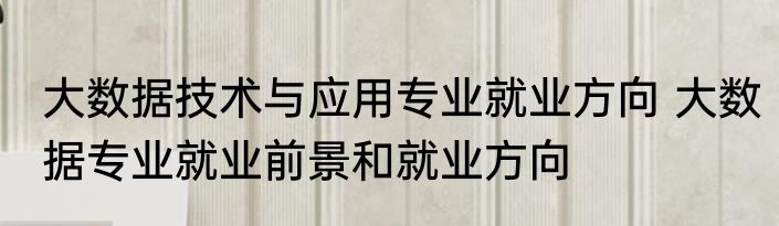大数据技术与应用专业就业方向 大数据专业就业前景和就业方向
