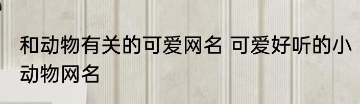 和动物有关的可爱网名 可爱好听的小动物网名