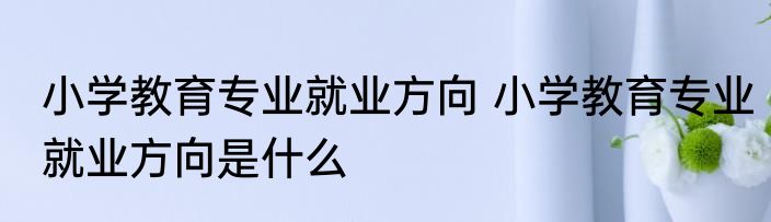 小学教育专业就业方向 小学教育专业就业方向是什么