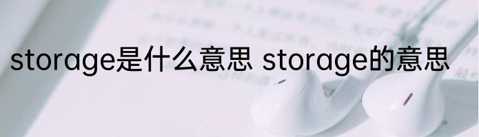 storage是什么意思 storage的意思