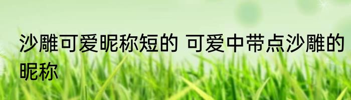 沙雕可爱昵称短的 可爱中带点沙雕的昵称